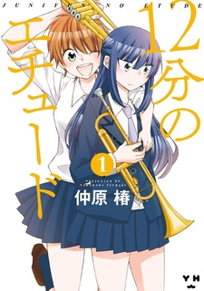 Двенадцатиминутный этюд