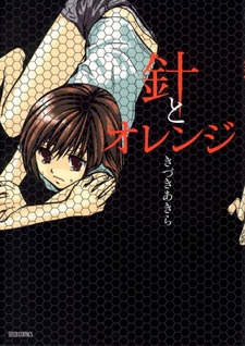 Забавные летние каникулы