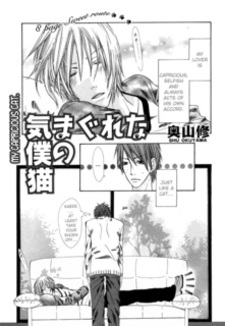 Мой капризный кот