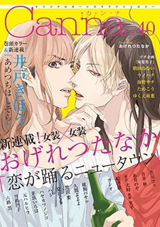 Пляска любви в новом городе