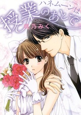 Медовый месяц