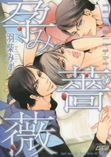 Роза зачатия