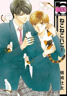 Милый котик, котик