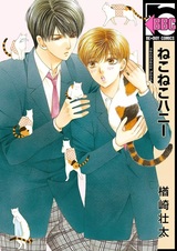 Милый котик, котик