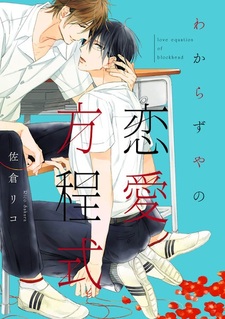 Уравнение любви одного болвана