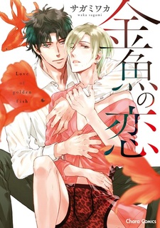 Любовь золотой рыбки