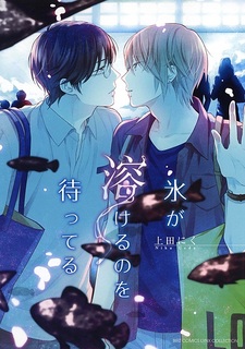 Ждать, пока растает лёд