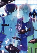 Ждать, пока растает лёд