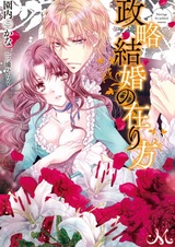 Seiryaku Kekkon no Arikata
