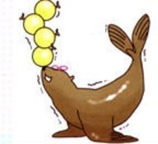 Сюнинта Амано