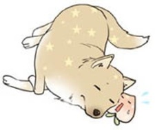 Ёко Фудзиока