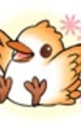 Рин Кодзуки