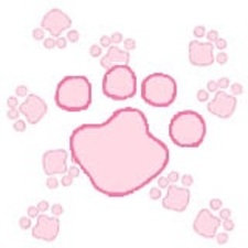 Надзуки Кодзима