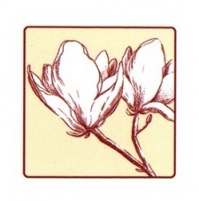 Боско Такасаки