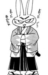 Набако Камо