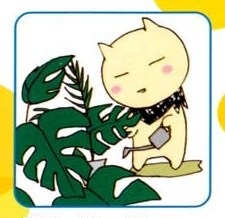 Хайму Хинодэ