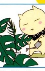 Хайму Хинодэ