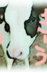 Ацуё Фудзуки