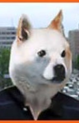 Такаси Сасаки