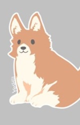 Кутиха Ёсии